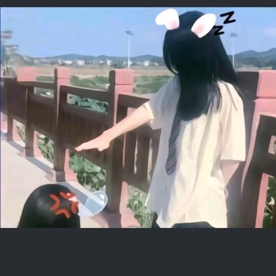 高冷的呆呆鱼