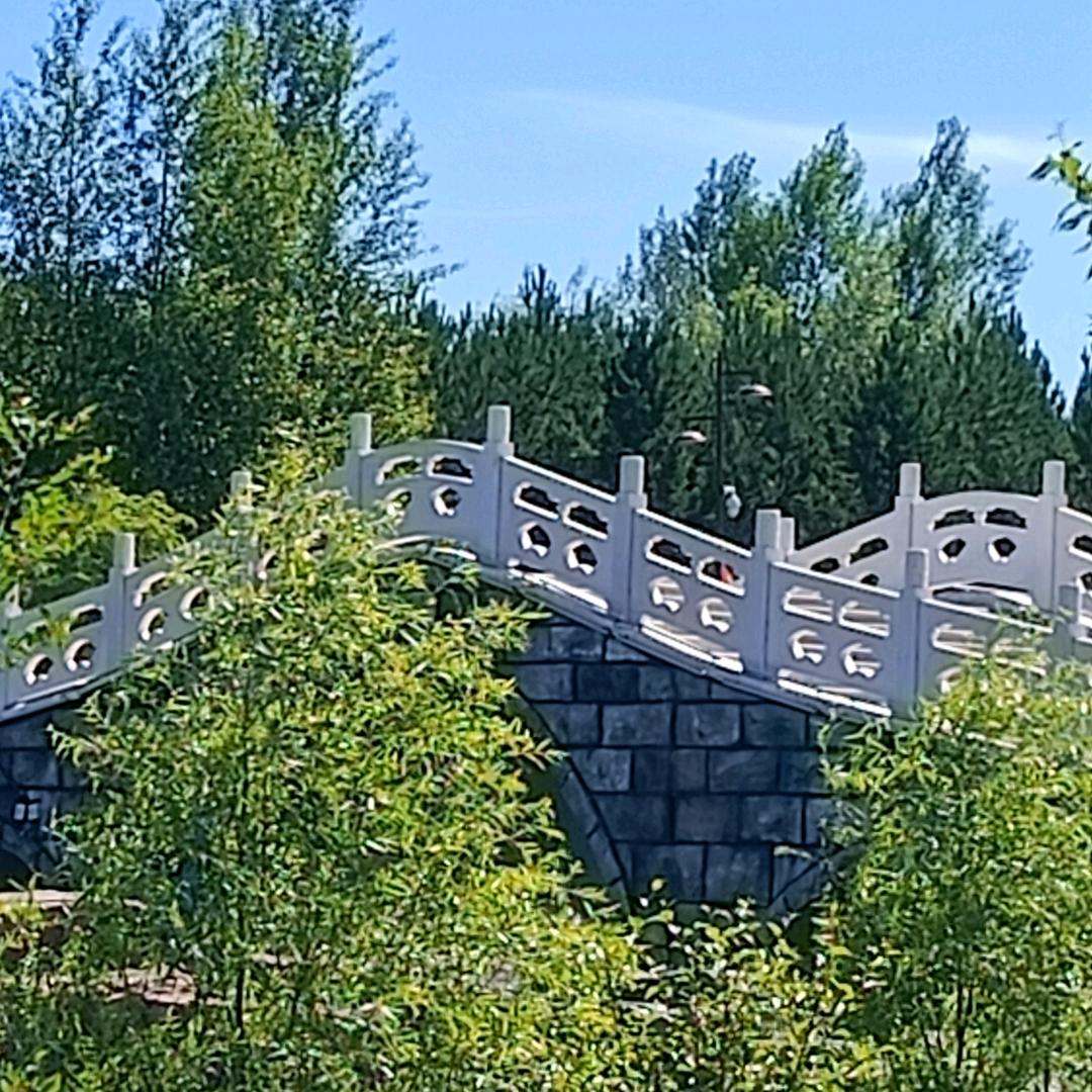 人生如梦，