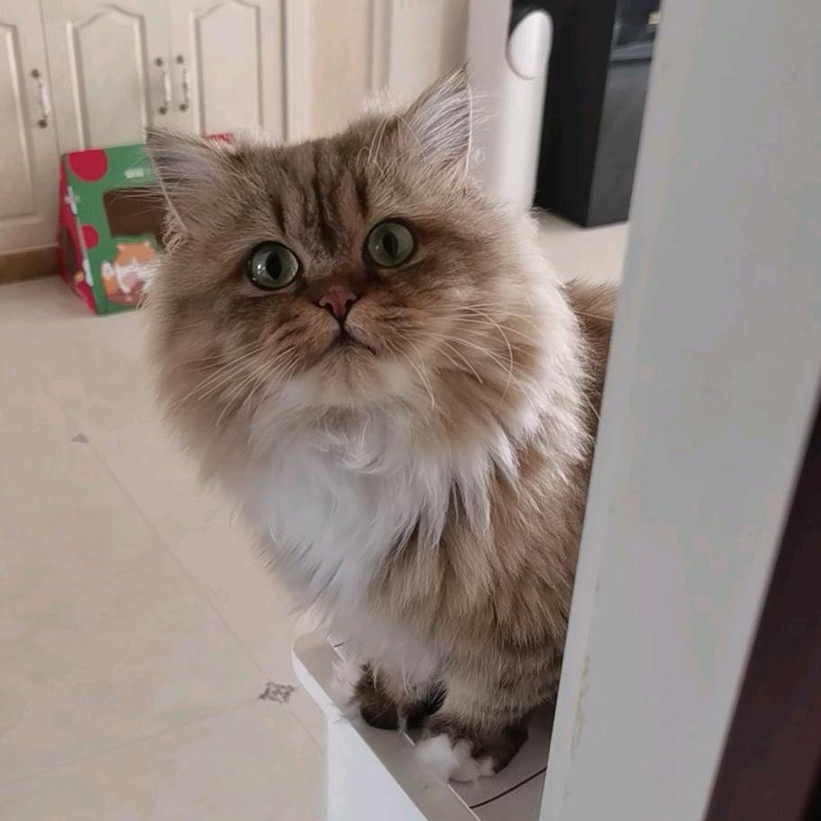 ʕ·͡˔·Ɂ安于时光ღ᭄