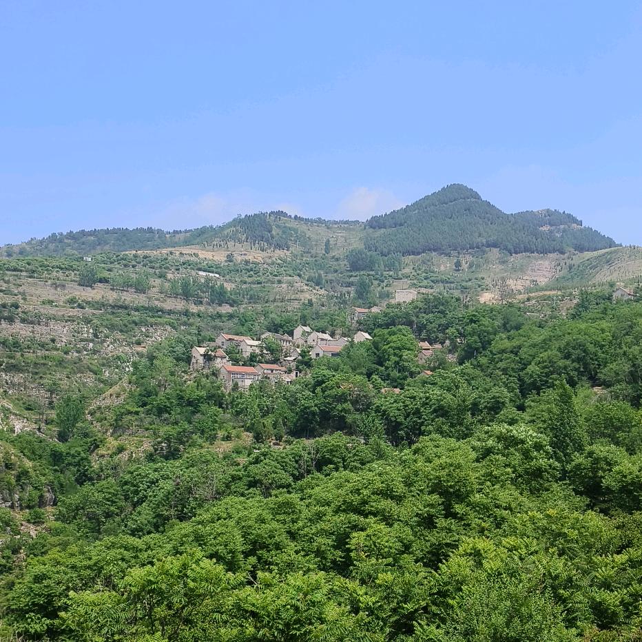 蔡明文