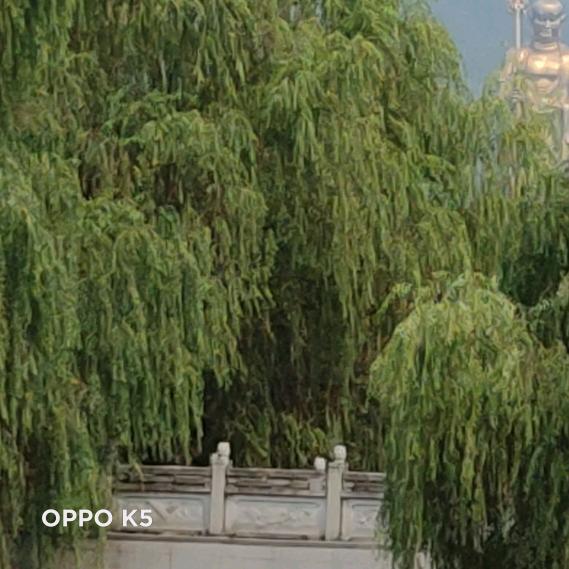 ✨💕ꦿ᭄钱景无✨限༉ᩚ᭄