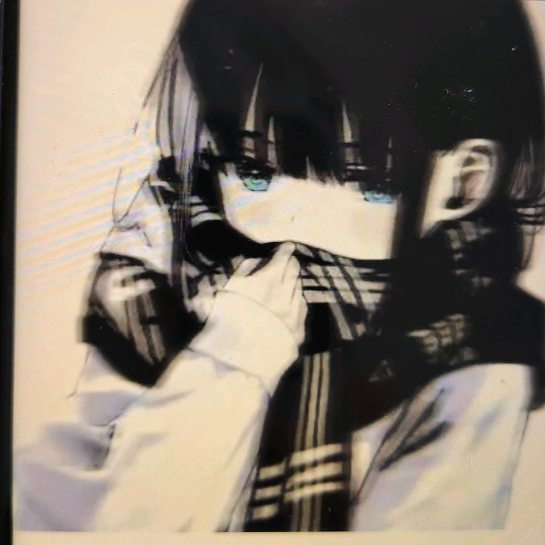 金宝贝