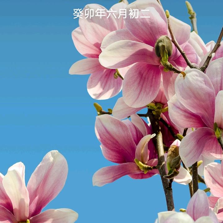 老戴