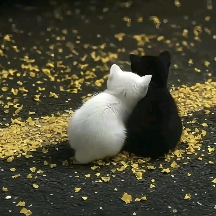 娜娜