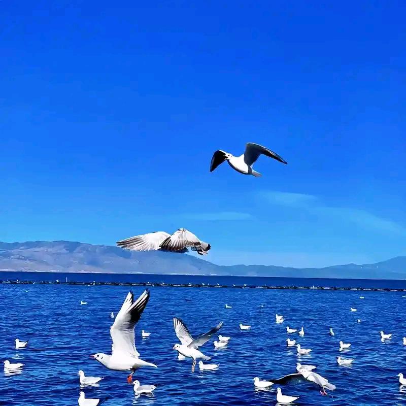 星辰大海