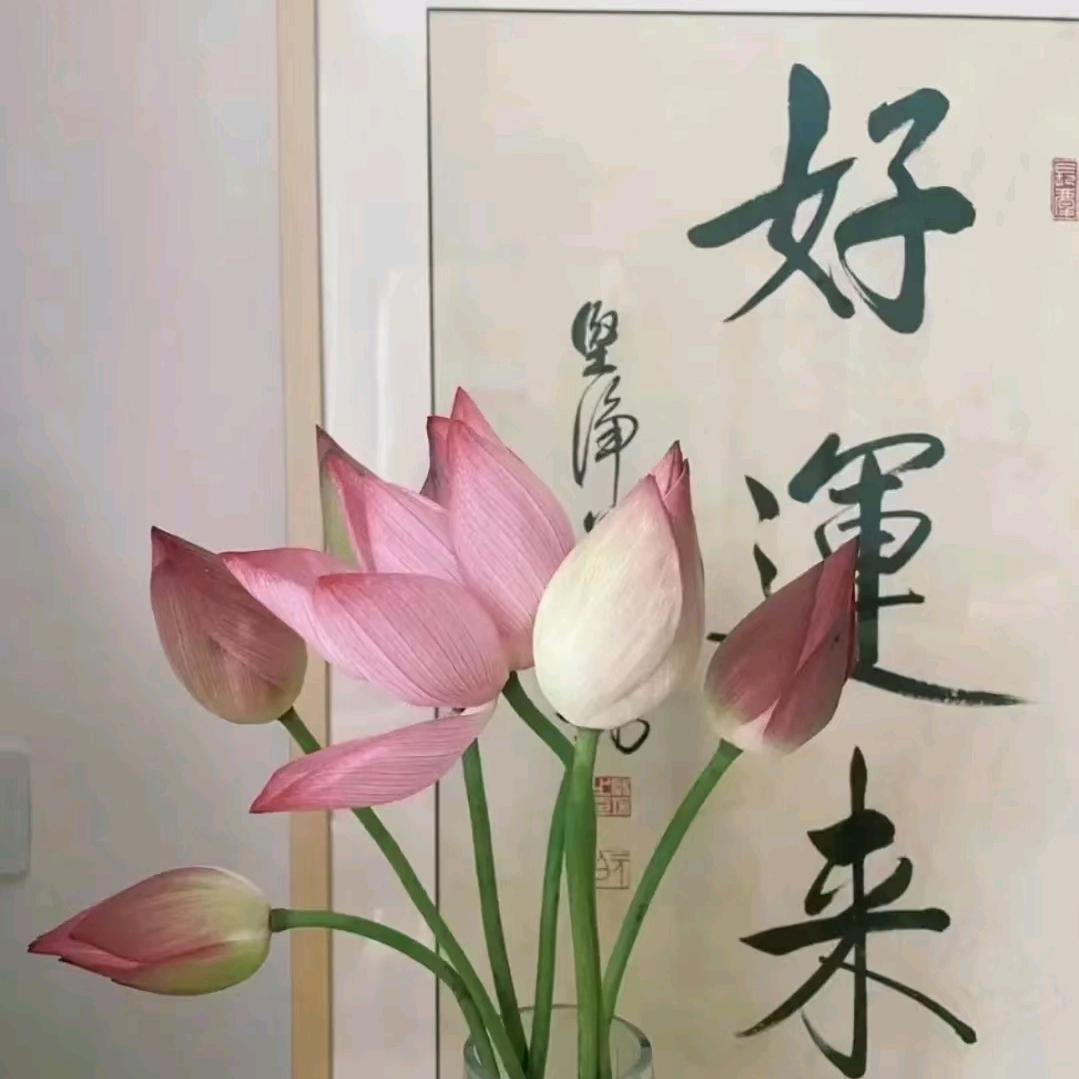 许愿上上签🤲
