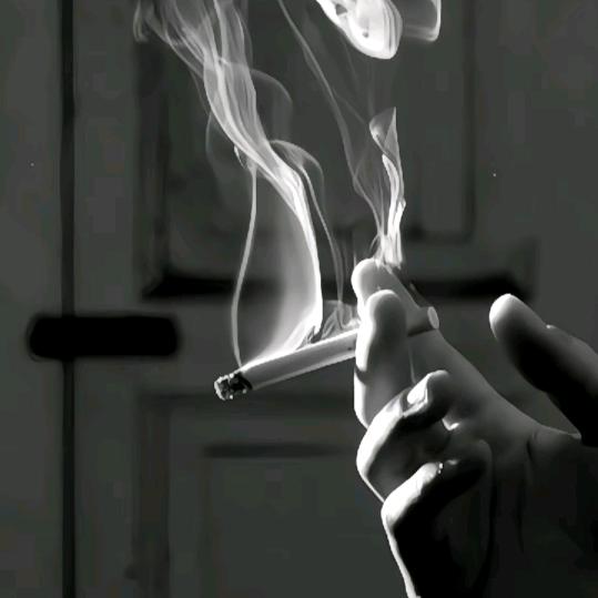 🌊天-涯🐍