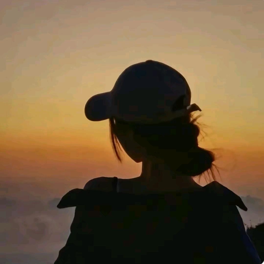 含羞草宝藏阁