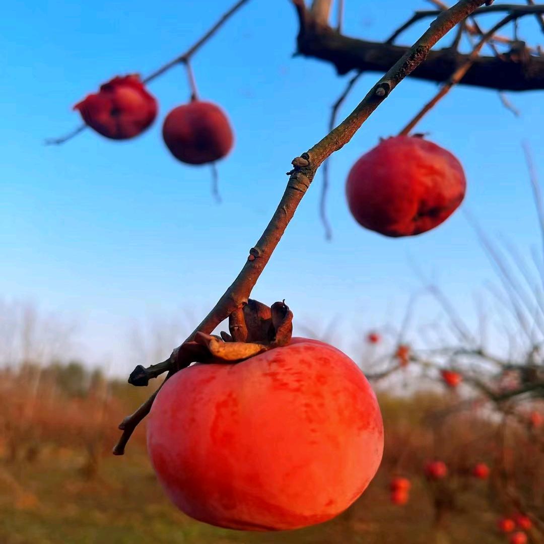 美好终会如约而至