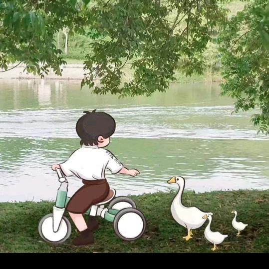 77号（要瘦20斤）