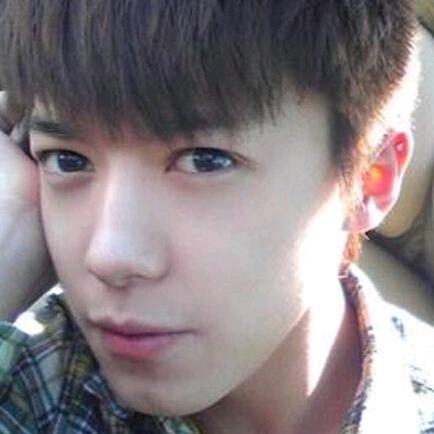 像风一样自由自在