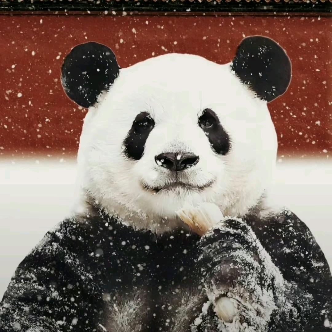 熬夜伤身体，那我通宵吧