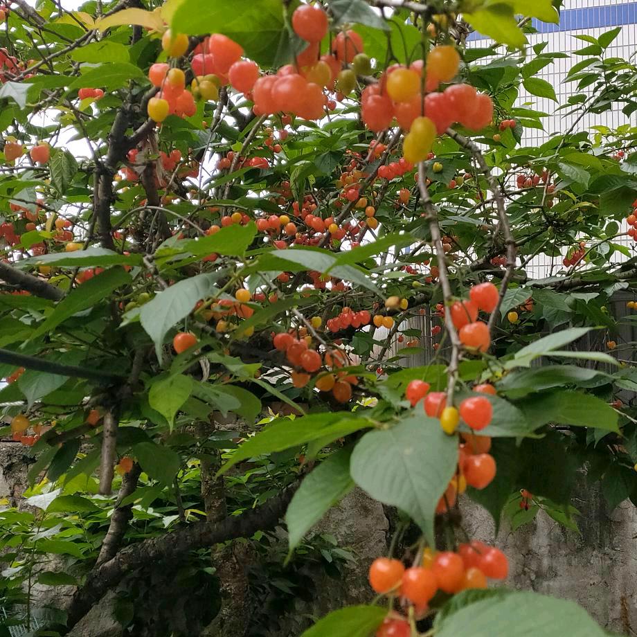 水到渠成