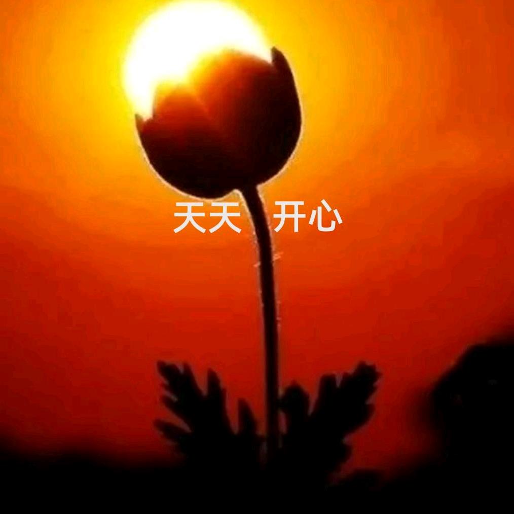 古风；