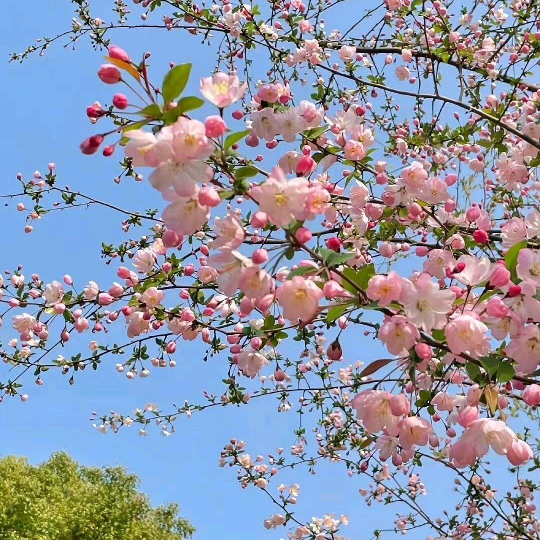 缘来🈶你