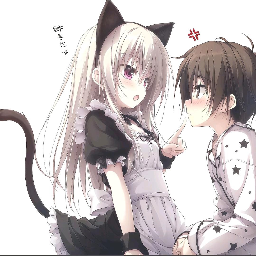 猫饼