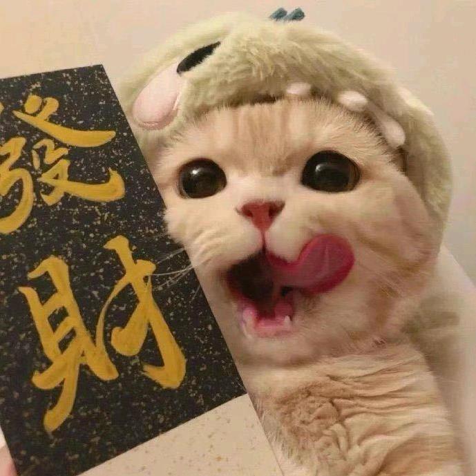 南波王👑（破产版）