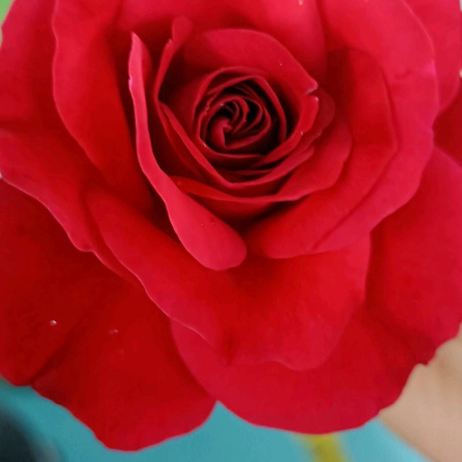 快快乐乐平平安安