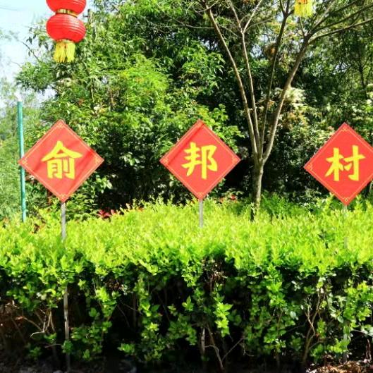 罗哥