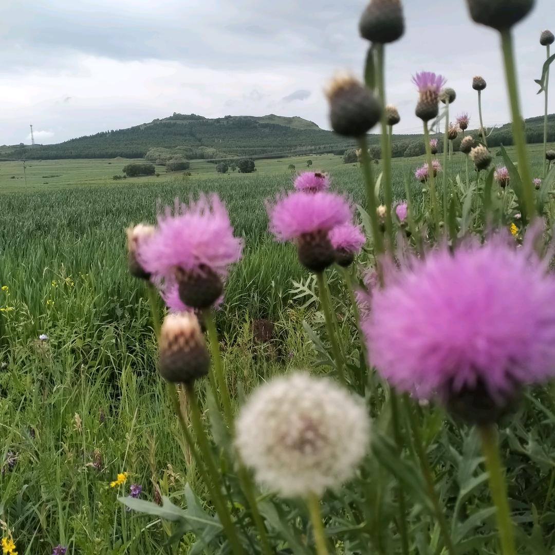 (っ'-')╮=͟͟͞͞💌高处不胜寒❄