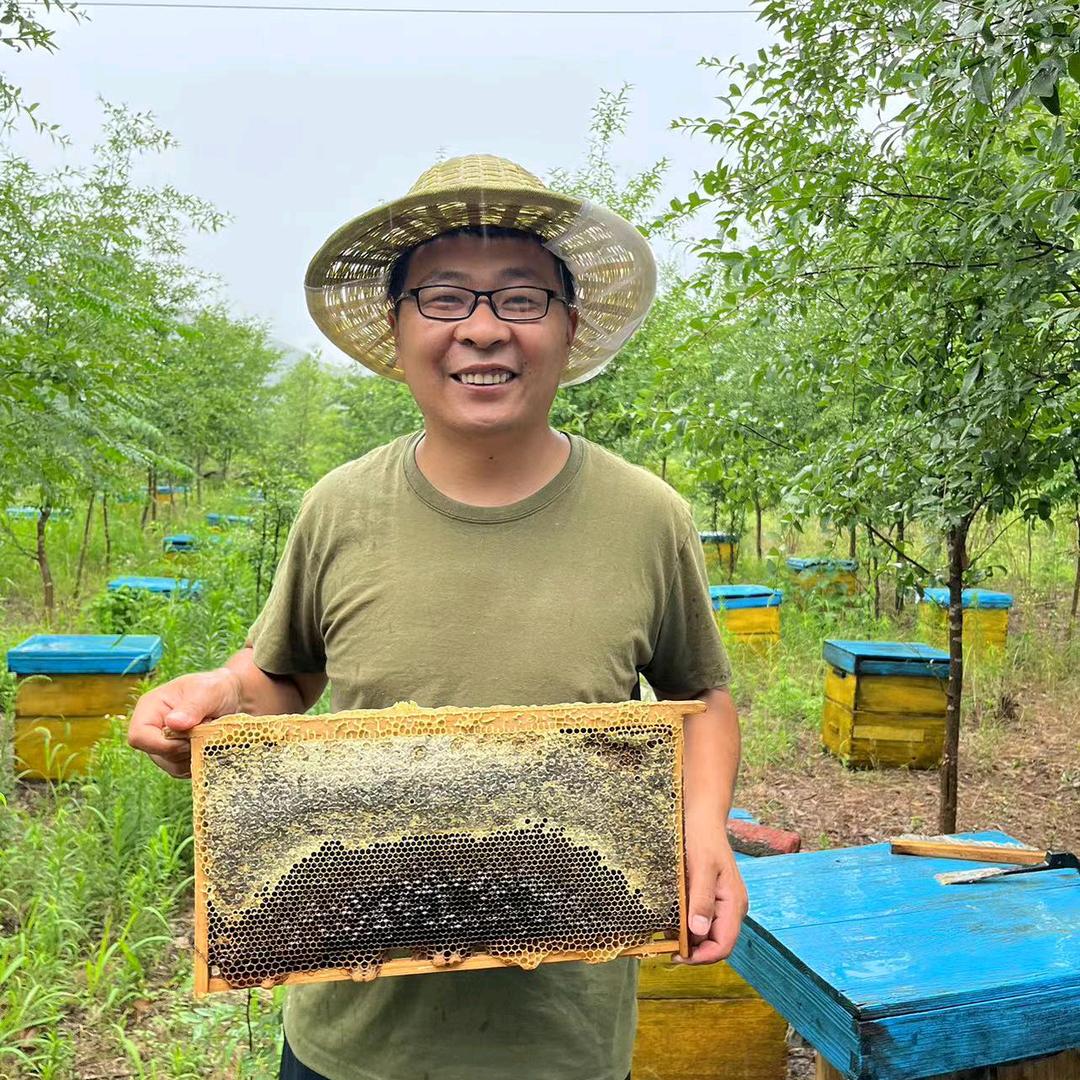 蜂农养蜂人