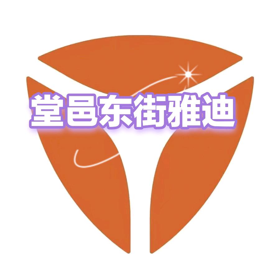 堂邑东街雅迪--马文安车行