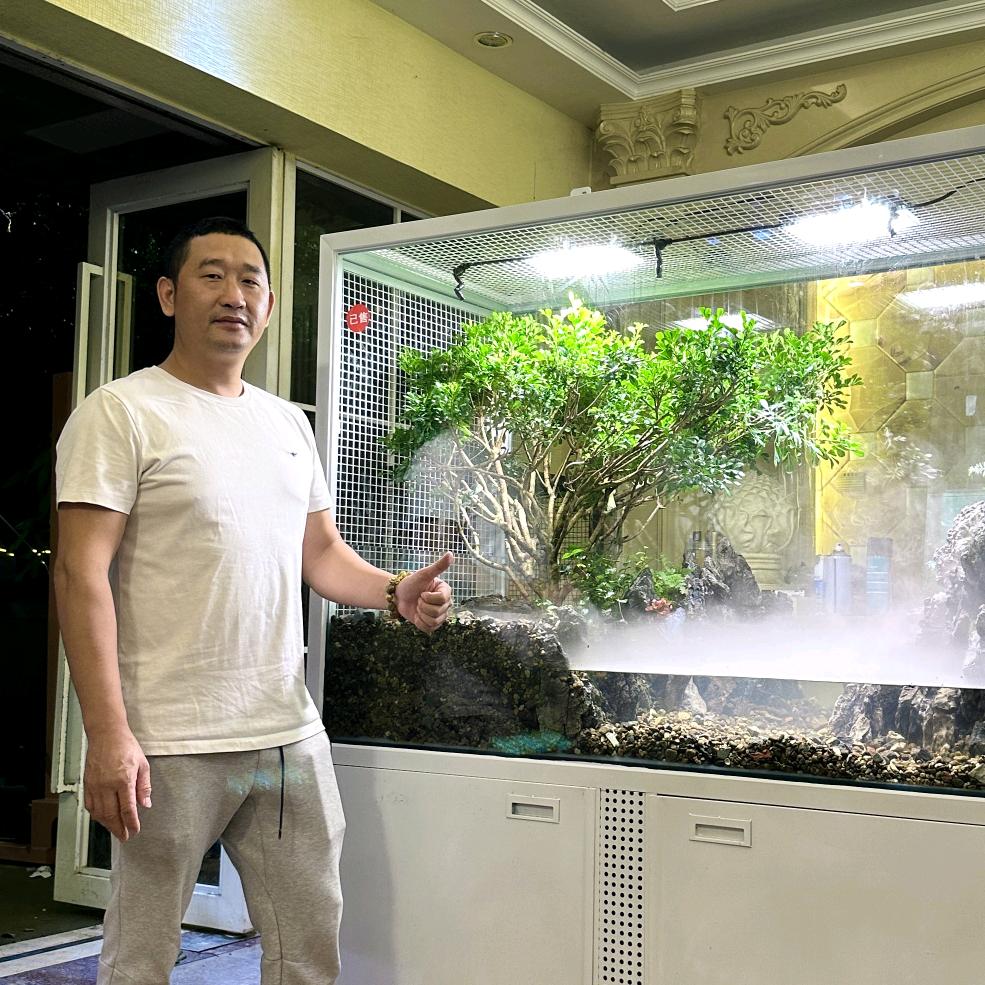 四哥生态鸟笼