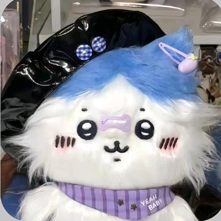 几杯呢⋆⁺
