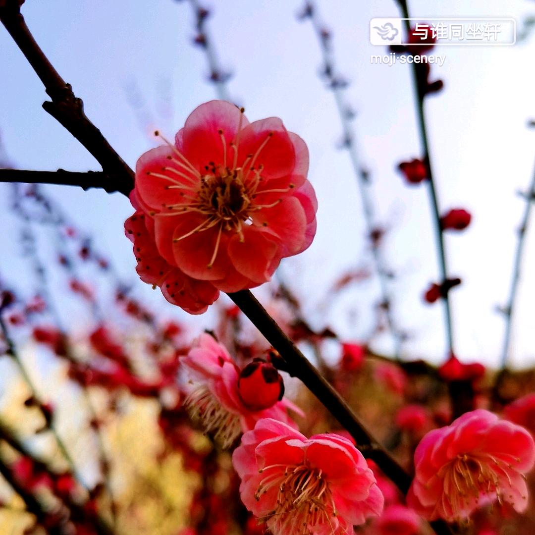杨帆起航