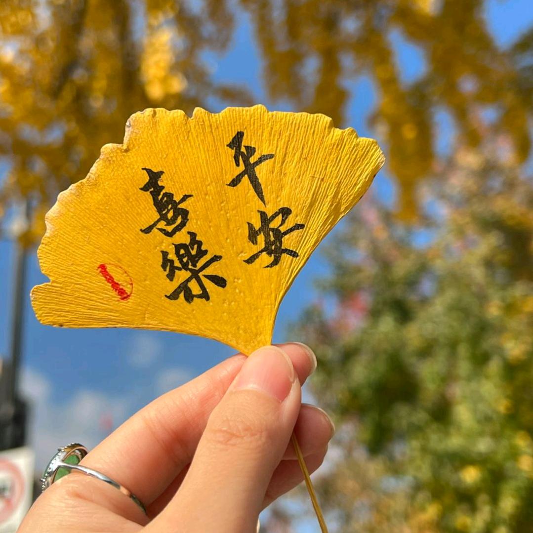 熟了的生米
