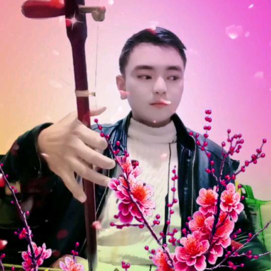 单身歌，杨大少，喜欢小鼓，二胡，电子琴