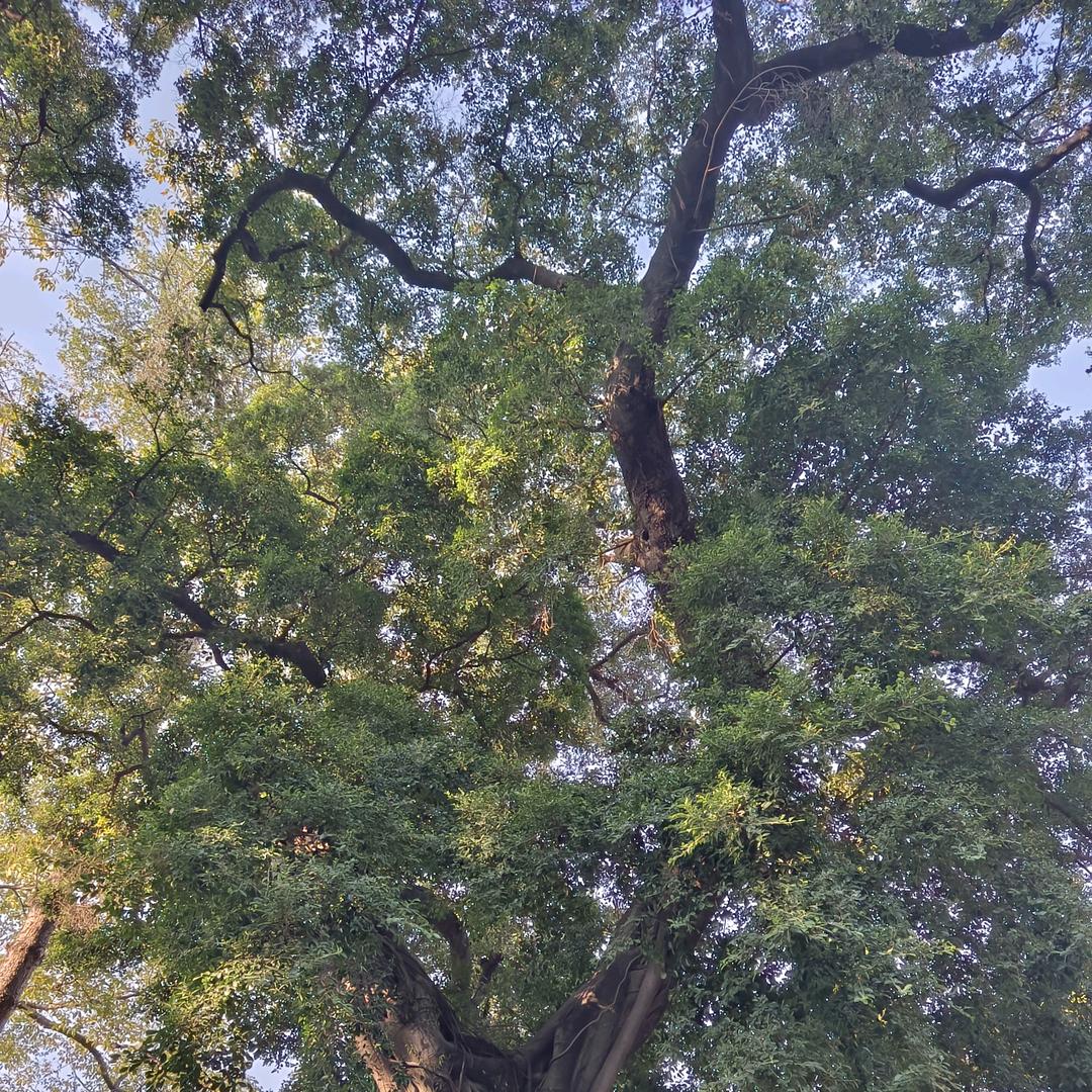 漂流戏水🌊🌊🌊