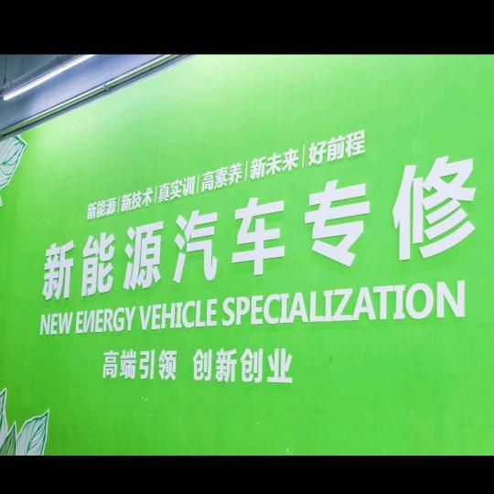 新能源汽车专修（博瑞新能源汽有限公司)