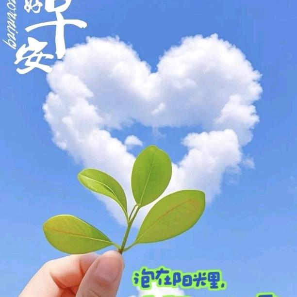 七彩的烟火