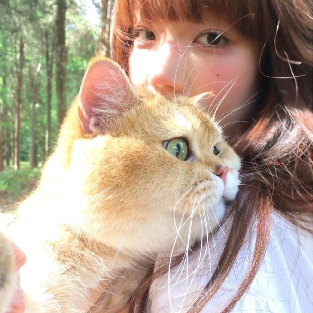 ai 潼潼