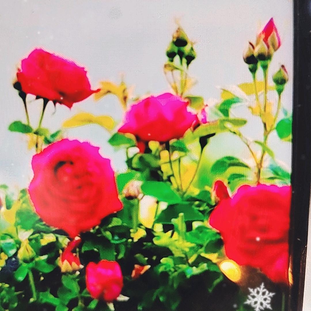 💐💐💋💋（🌺一🌺）知足常乐