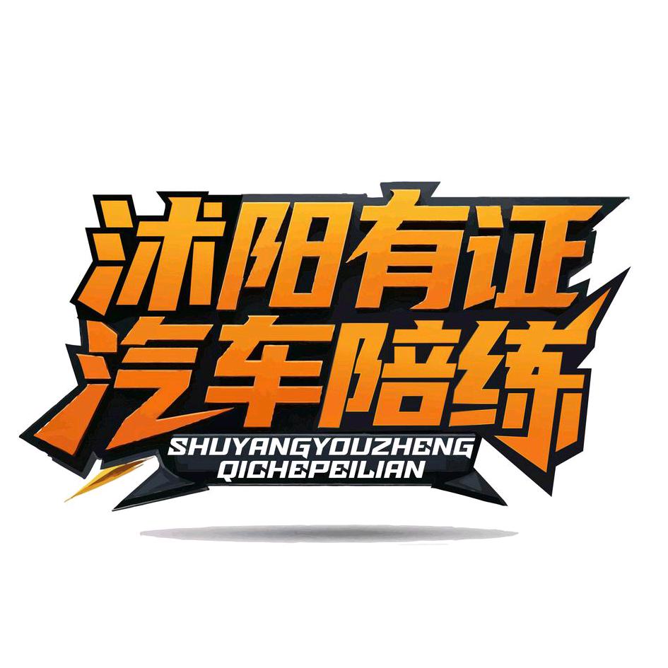 沭阳有证汽车陪练