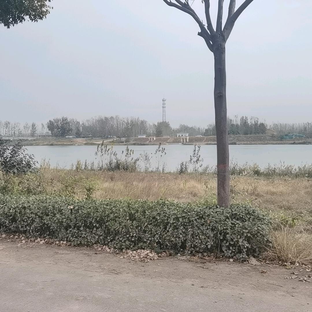 Li懂比爱真Hai！李！