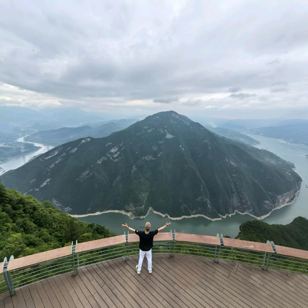 秦先森的哈士奇