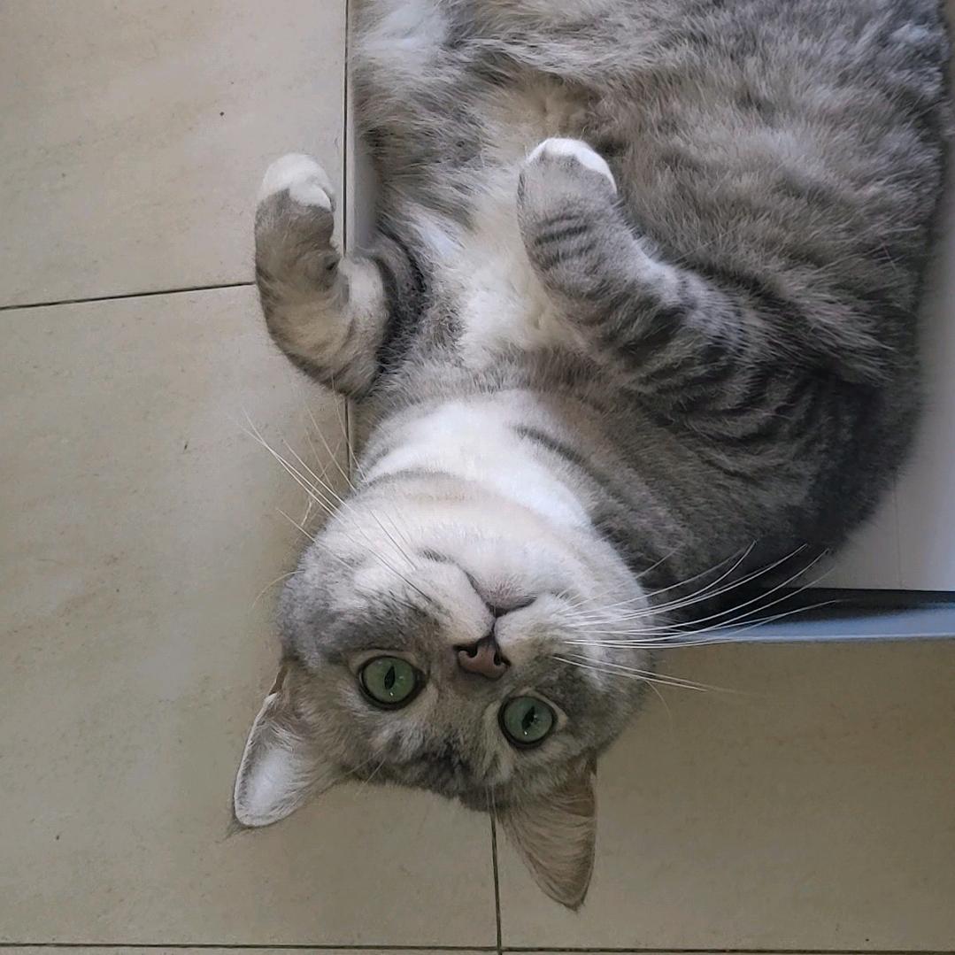 皮卡皮卡皮卡皮卡