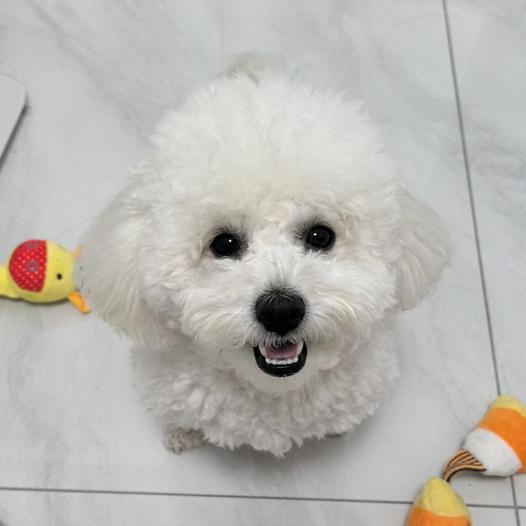 我超爱绵绵的！