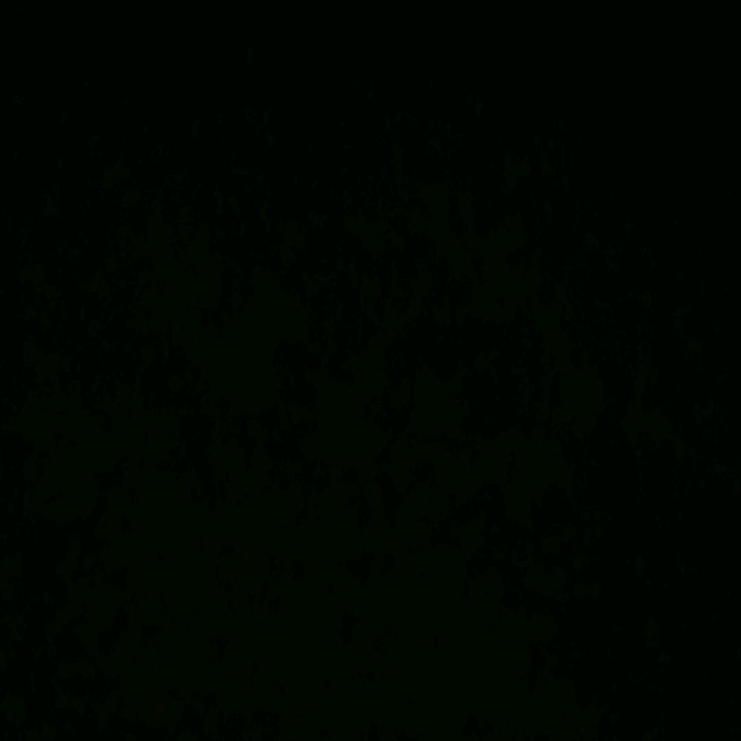 这辈子活得好累。没有人心痛。