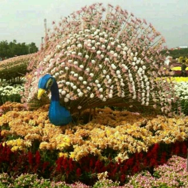 依🌾恋