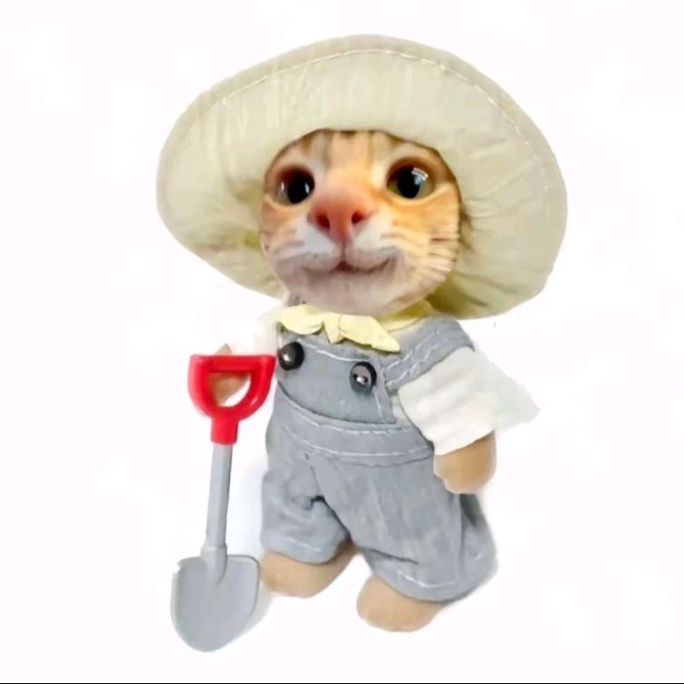 想和素牛肚结婚（易发疯版）