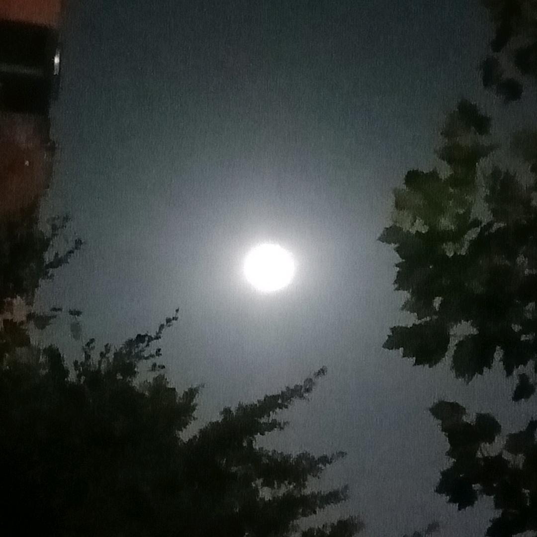 明月*^O^*