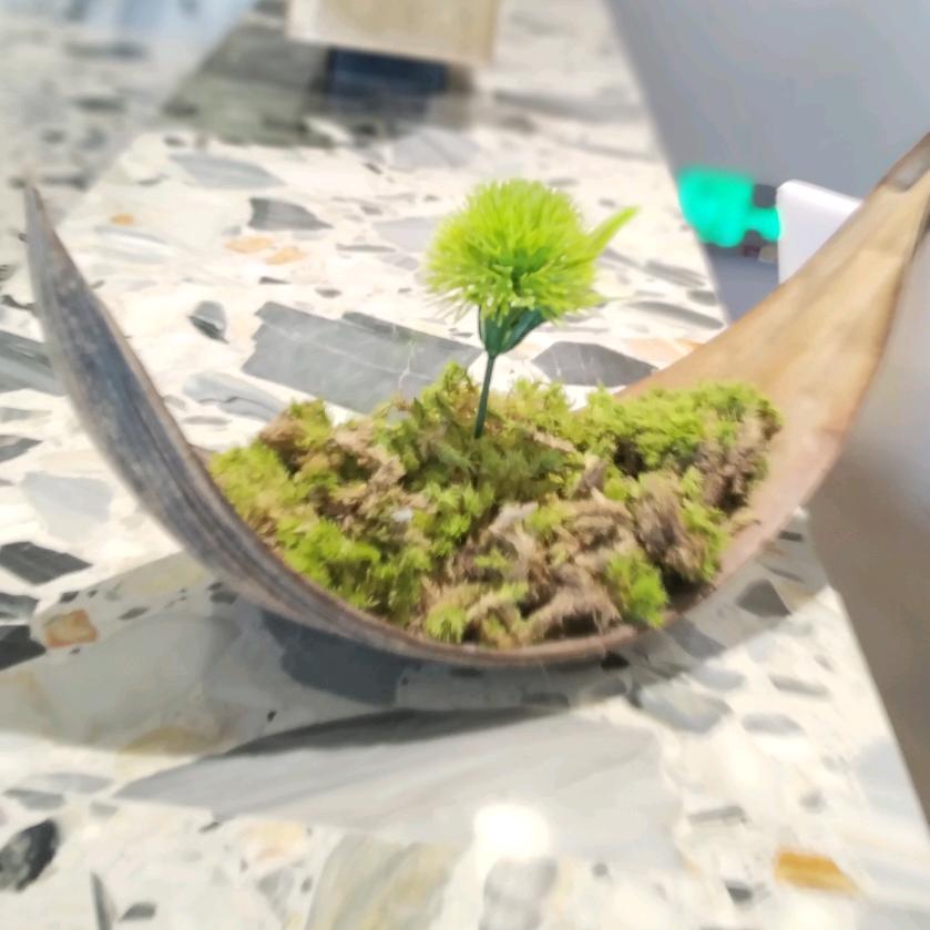 有你真好💫💫