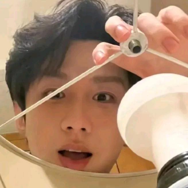 淇毅果