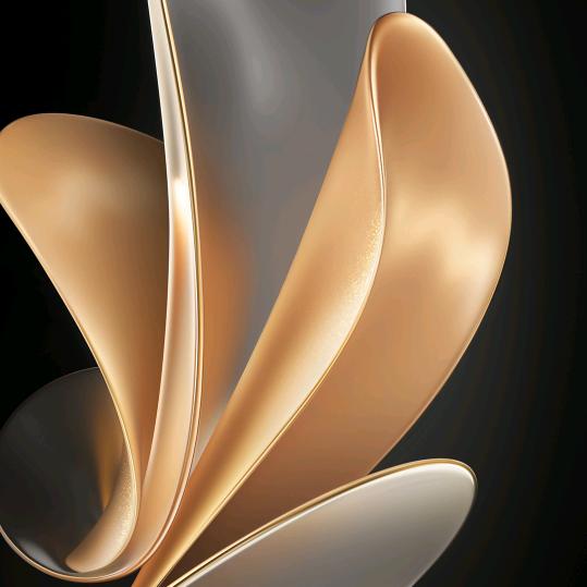 文家爱你不会变