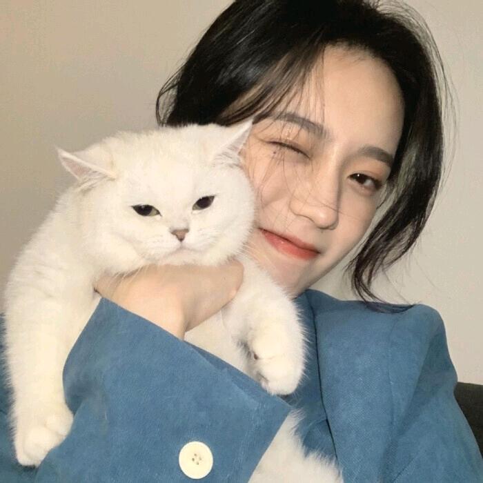 小羊会飞