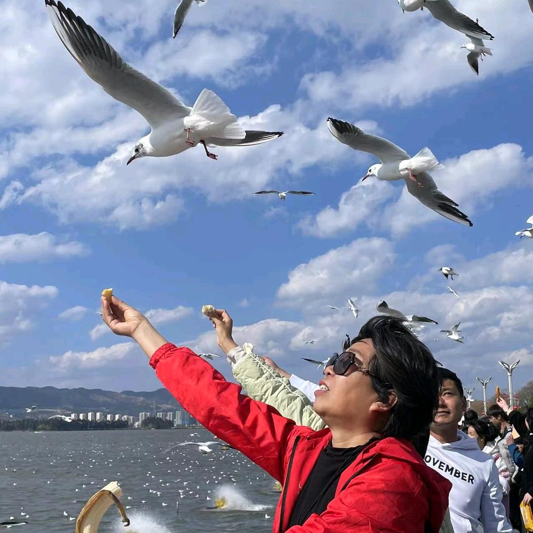 朝霞